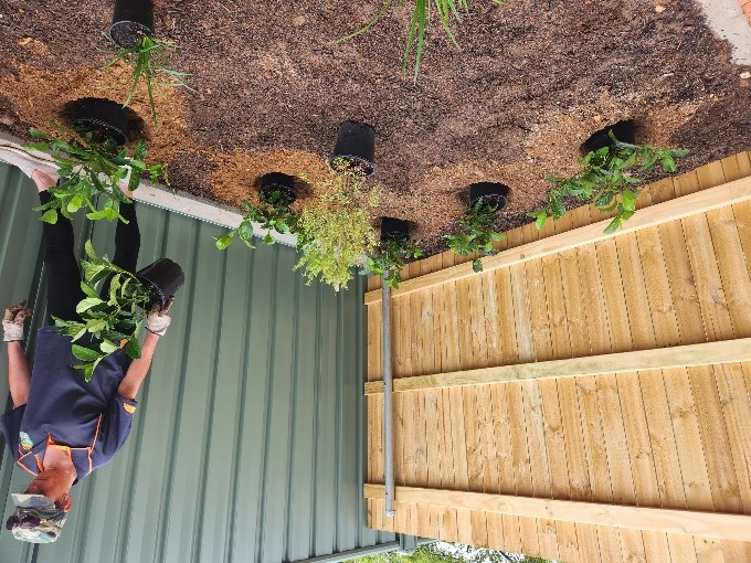 Garden Maintenance Canberra